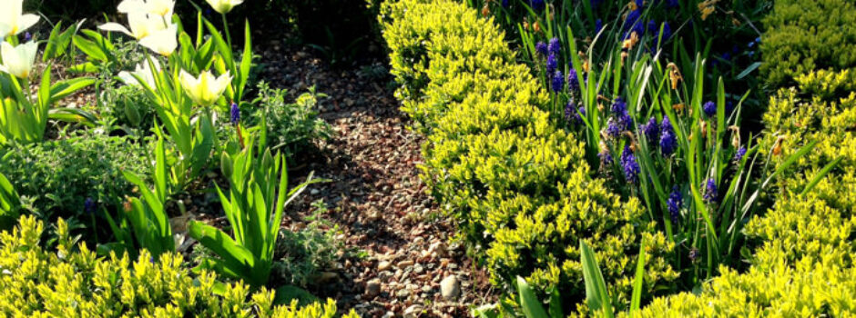 Garden Design Exeter