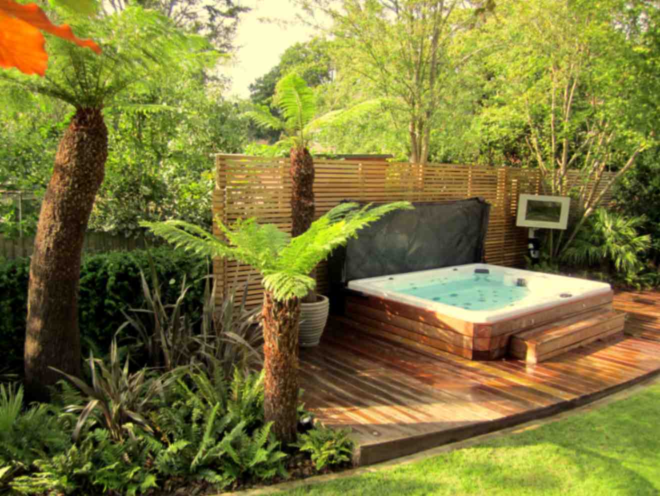 Decking & Tropical Planting